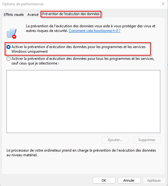 Options de performances.png